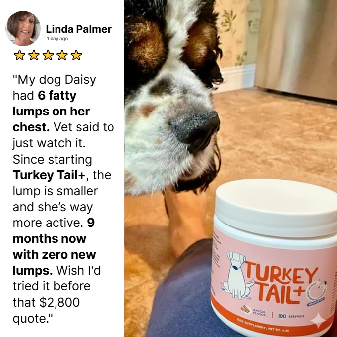 TurkeyTail+ Probiotics™ Formula